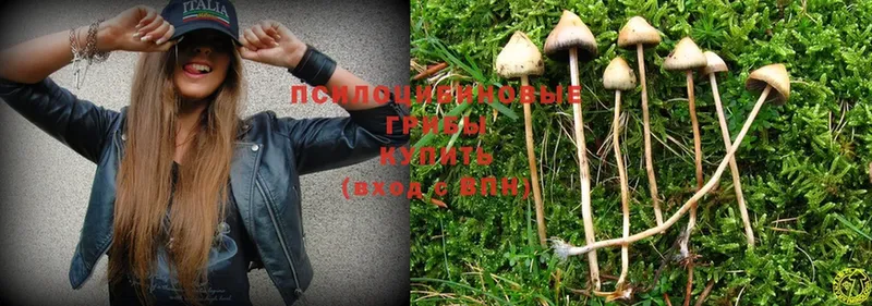 Псилоцибиновые грибы MAGIC MUSHROOMS  Кыштым 